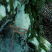 おーか
