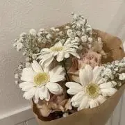 aiの画像