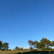 かんちゃん