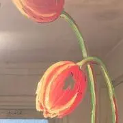 まゆげの画像