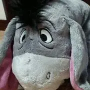 YUKAの画像