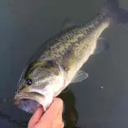 釣り人