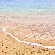 ｎａｔｓｕの画像
