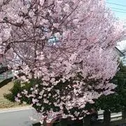 あつこ