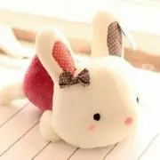 みもたろう