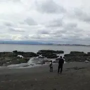YASの画像