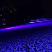 りょーすけ