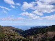 Bの画像
