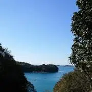 あんこの画像