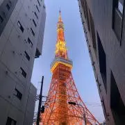 あおやまの画像