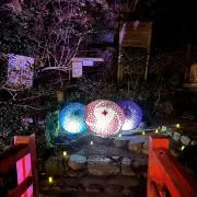 chii＊プロフ必読の画像