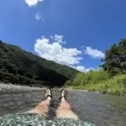 チーズの画像