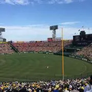 バルクアップ