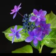 じゅん✲の画像