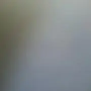 ポムの画像