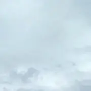 くみの画像