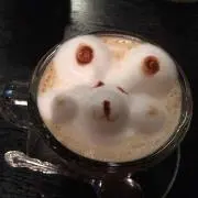 kokoの画像