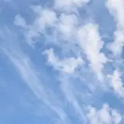 YCの画像