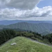 はとの画像