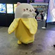 即購入〇(プロフご確認ください)の画像