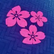 ひなたの画像
