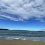 アロマッチの画像