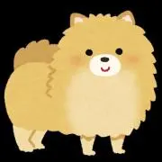 ぽめちの画像