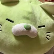 ずんずんの画像