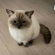 花子