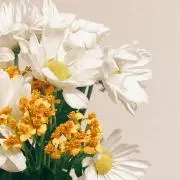 mi
