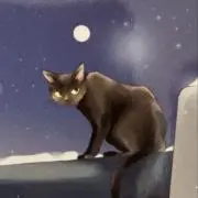 わいちゃんの画像
