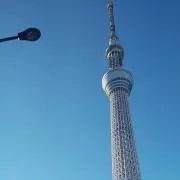 sumomoの画像