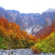 TKの画像