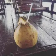 shshの画像