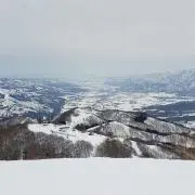arの画像