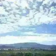 みーさんの画像
