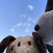 りおなの画像
