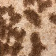 mの画像