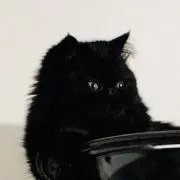 麦