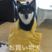 元ちゃん