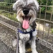 たろまーる