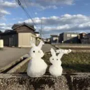 S.Yの画像