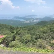 おさこの画像
