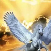♾️プロフ必読の画像