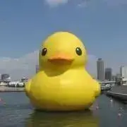 ___a.の画像