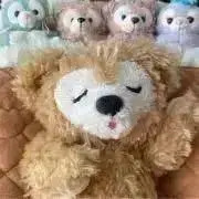 Mr.Children ファンクラブ会報 最新号 SEP2025 No.100 - メルカリ