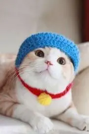ななしびとの画像