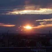 Forsaleの画像