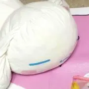りりの画像