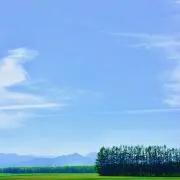 HF⭐︎の画像
